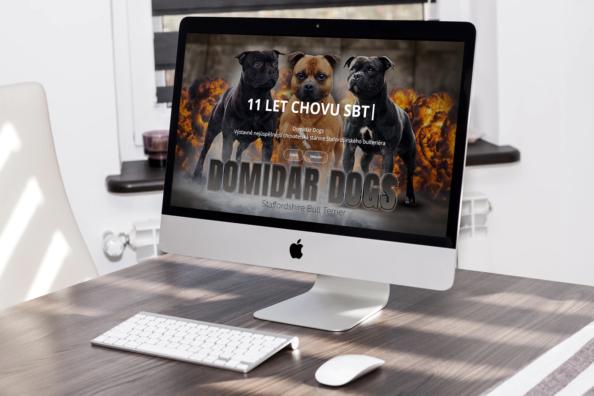 Chovatelská stanice Domidar Dogs