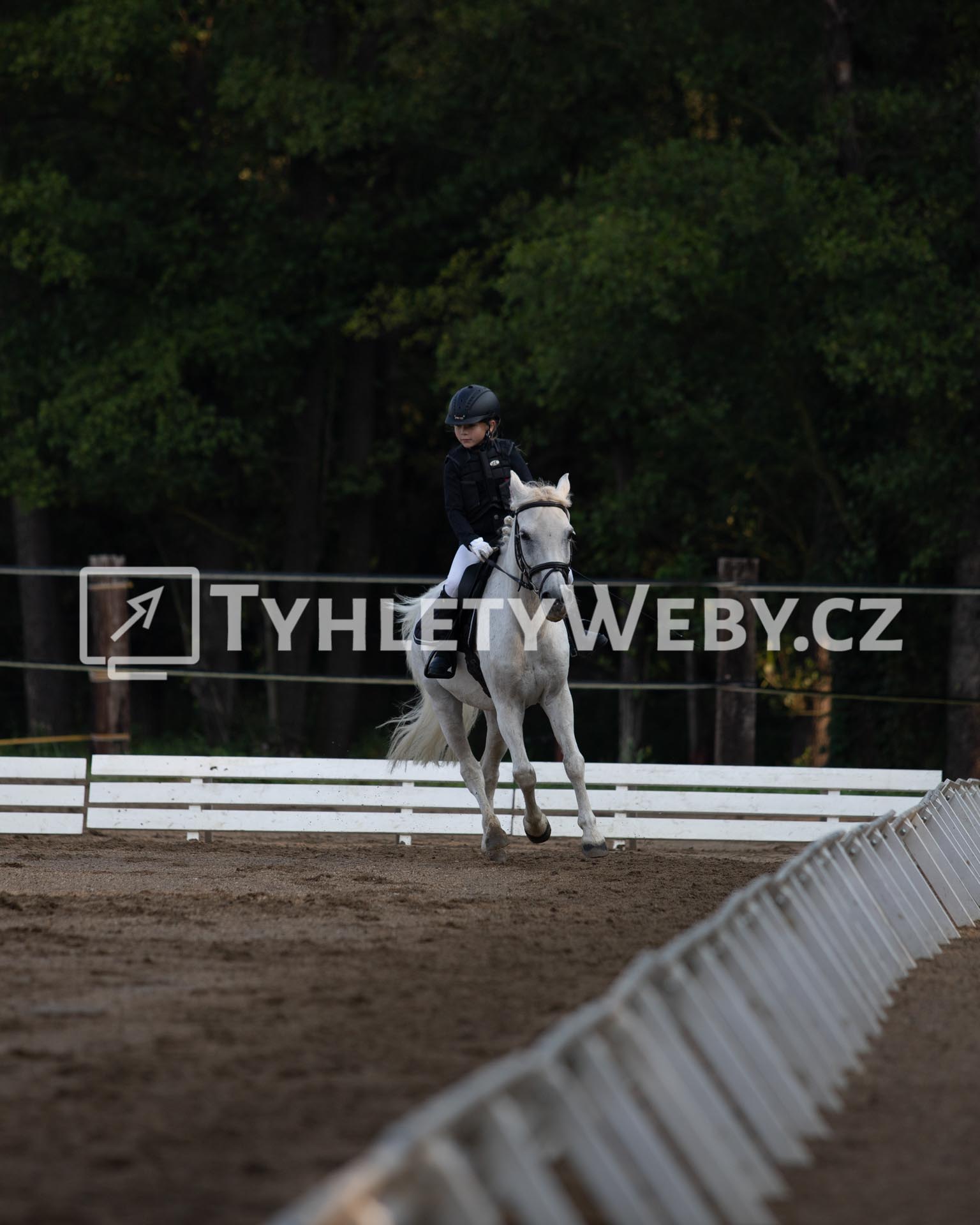 Hobby Kováry (drezurní závody) - 12. 9. 2020