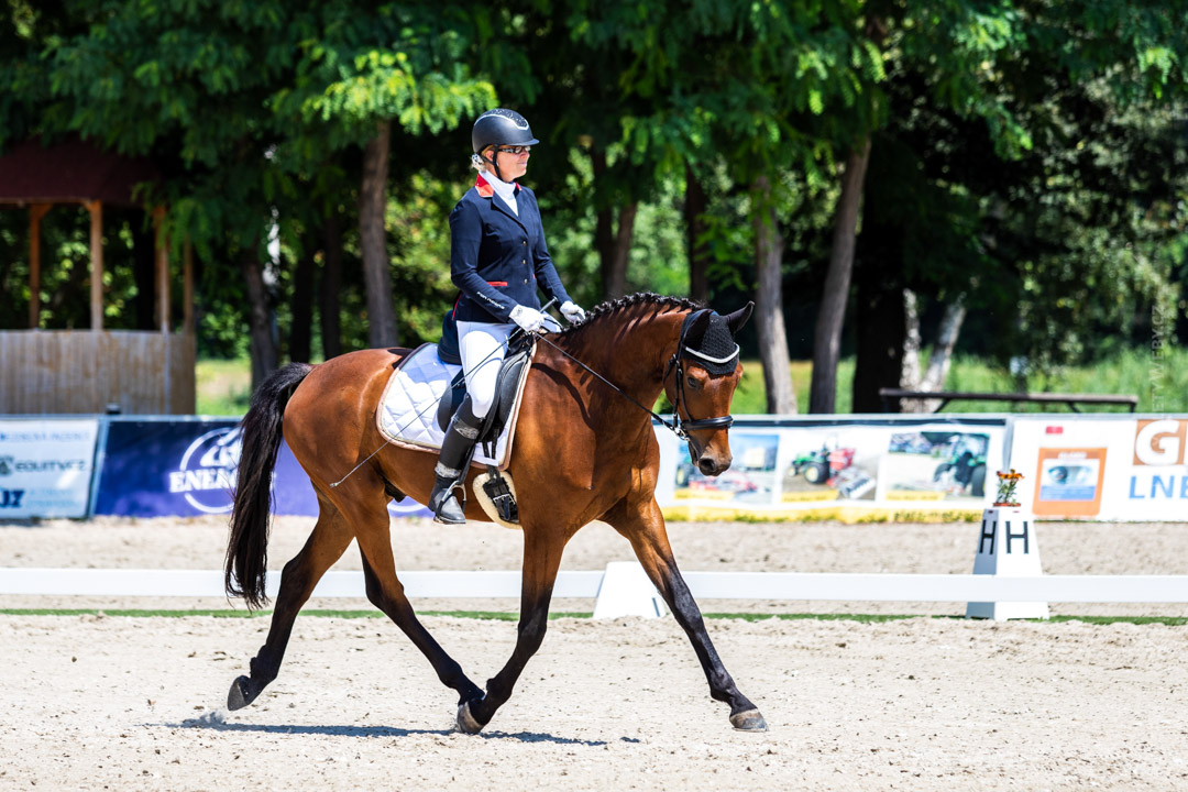 Kritéria mladých koní (kvalifikační kolo - drezury) Hradišťko - 25. 7. 2020