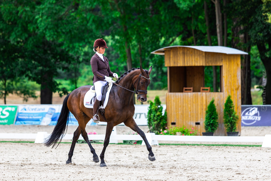 Kritéria mladých koní (kvalifikační kolo - drezury) Hradišťko - 25. 7. 2020