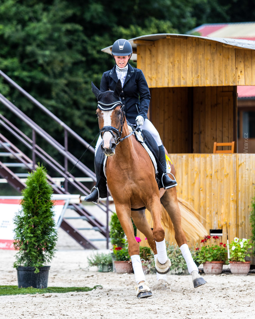 Kritéria mladých koní (kvalifikační kolo - drezury) Hradišťko - 25. 7. 2020
