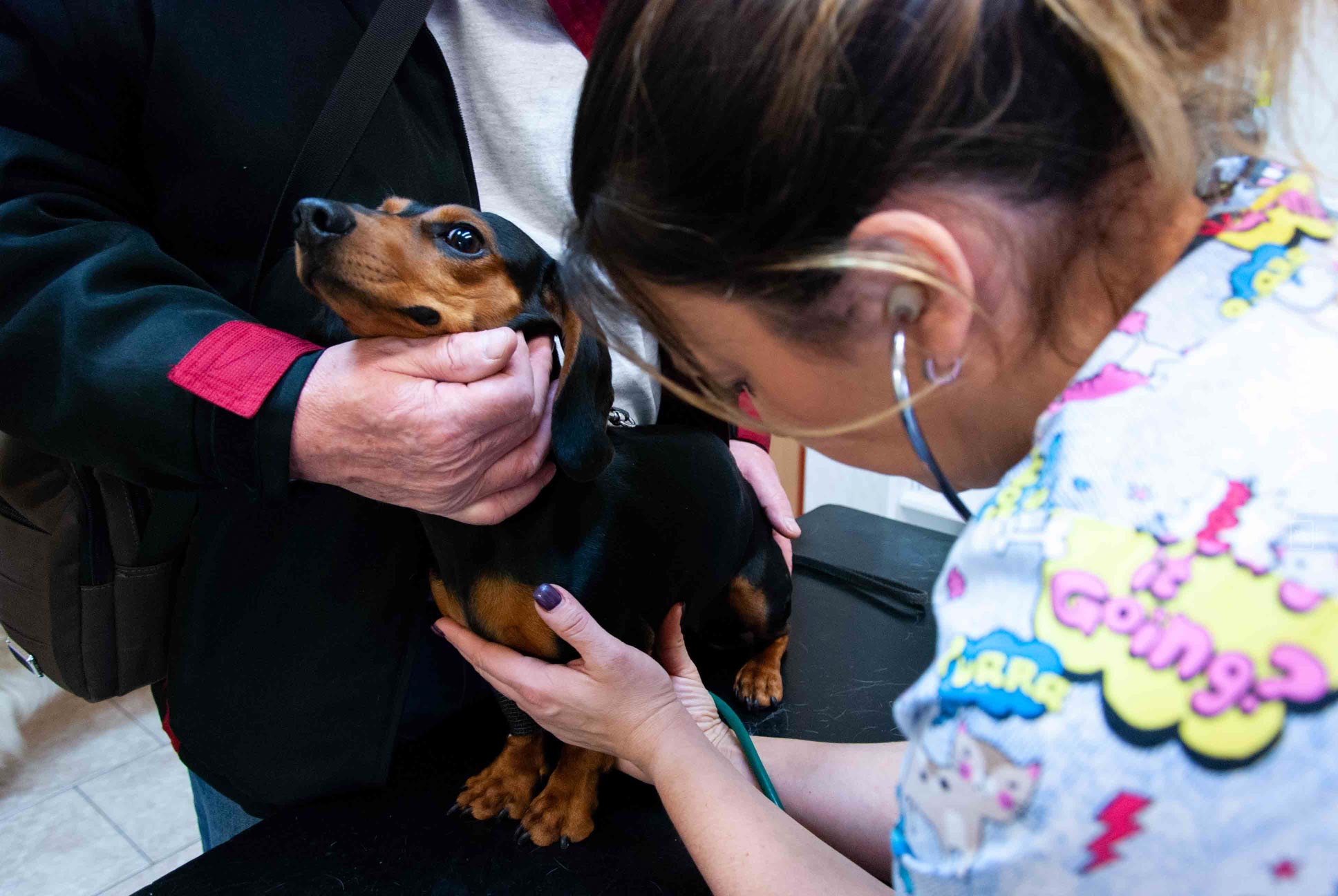 A.A.R. Veterinární klinika Kolín