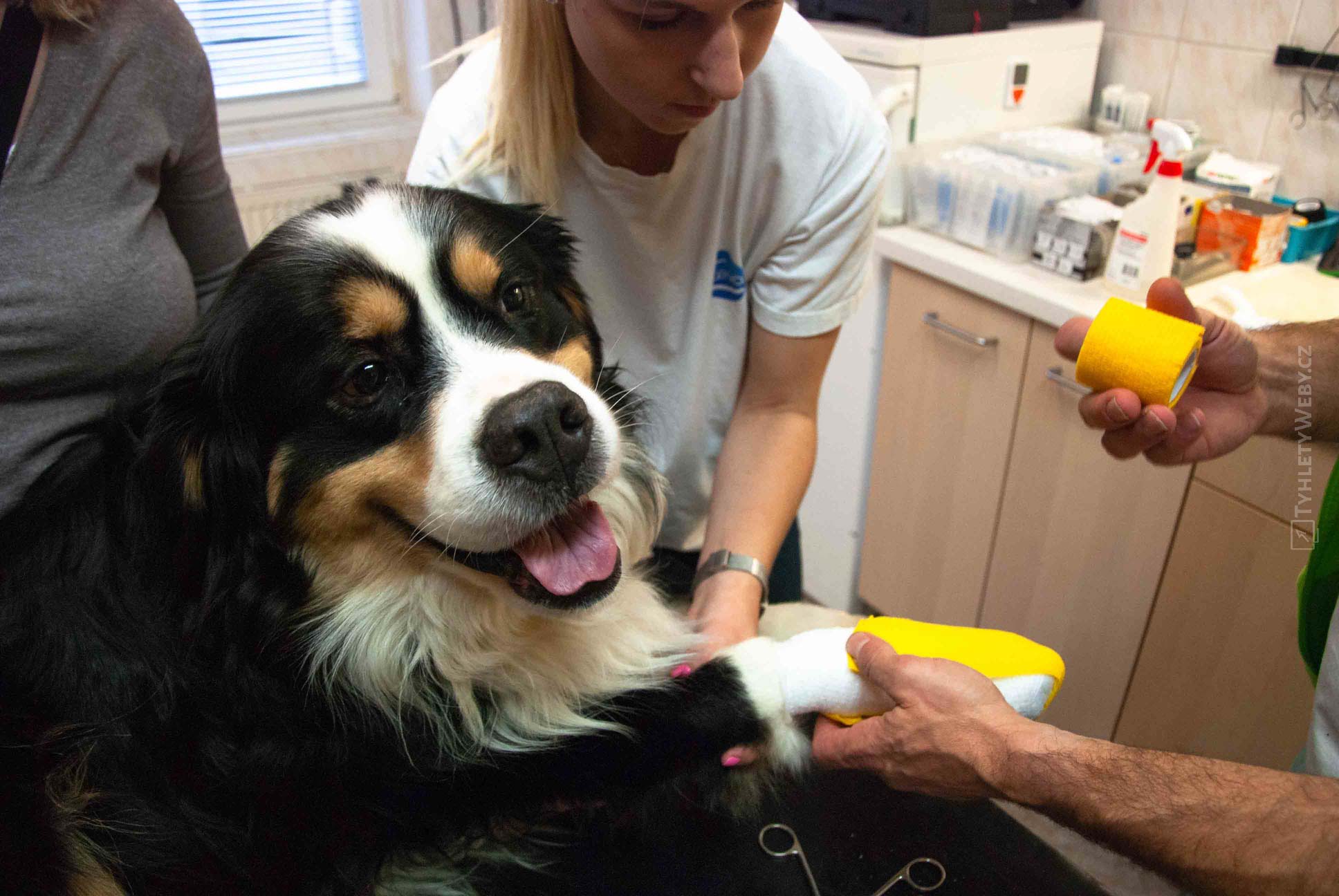 A.A.R. Veterinární klinika Kolín