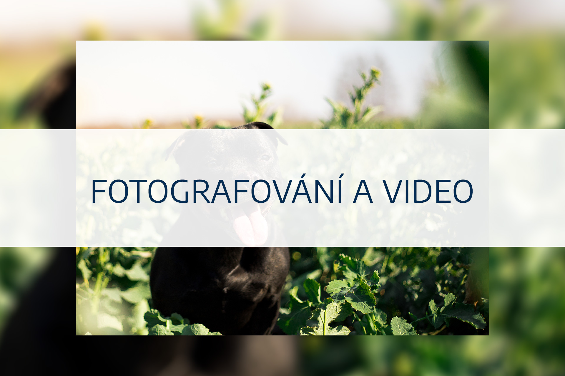 Fotografování a video