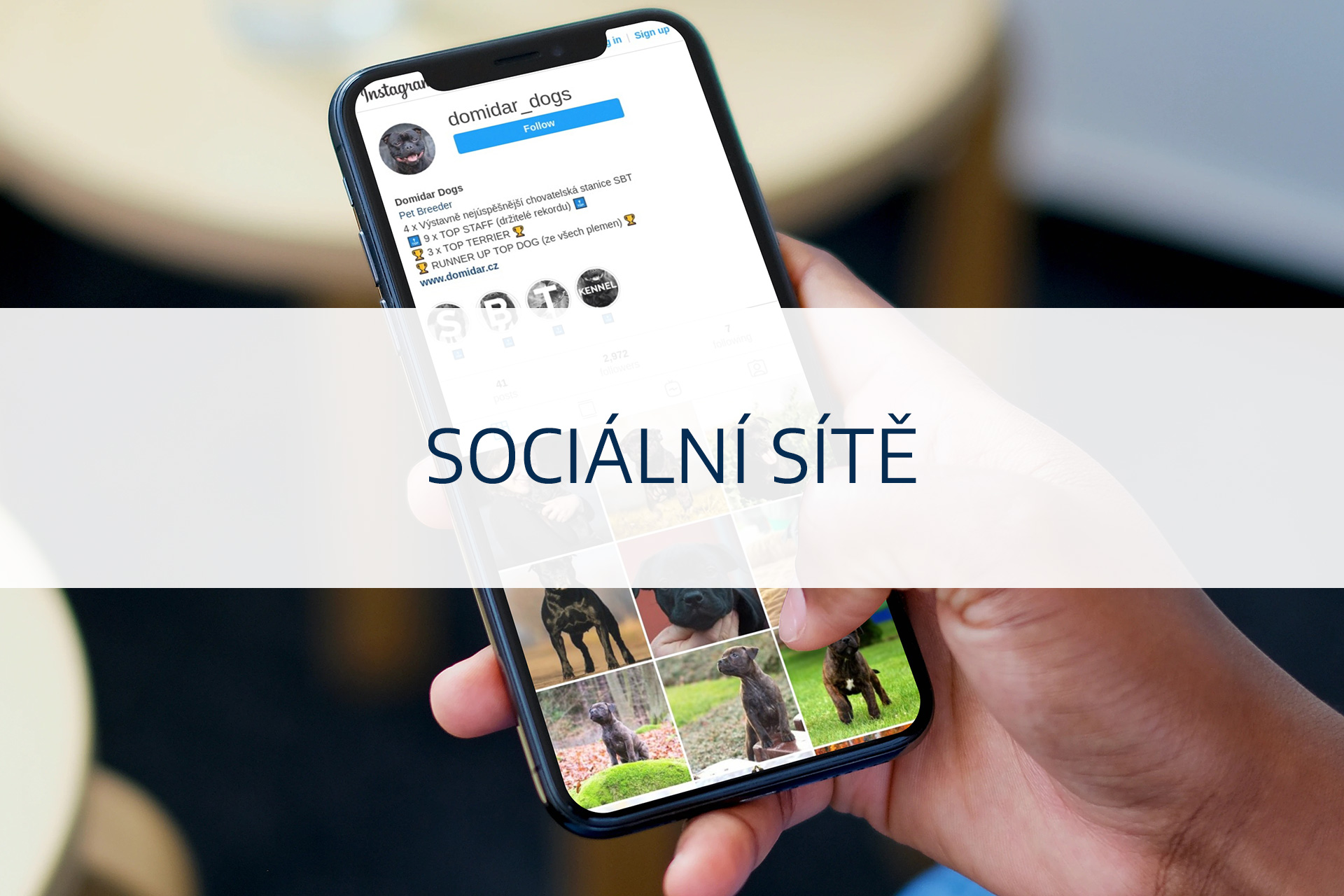 Sociální sítě